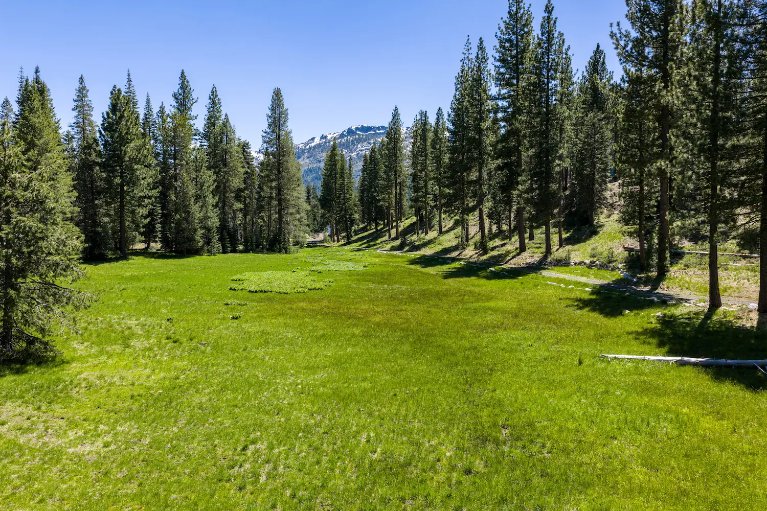 Jackson Meadows Reservoir Waterfront Land for Sale | 110± Acres Sierra ...